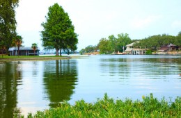 Fill Property on Lake LBJ