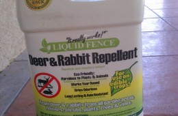 Deer Repellant Experiment