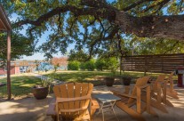 The biggest Tree on Lake LBJ