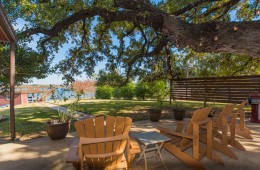 The biggest Tree on Lake LBJ