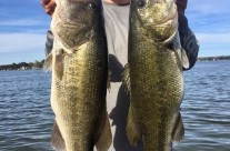 Lake LBJ Ranked #7 Bass Lakes in US